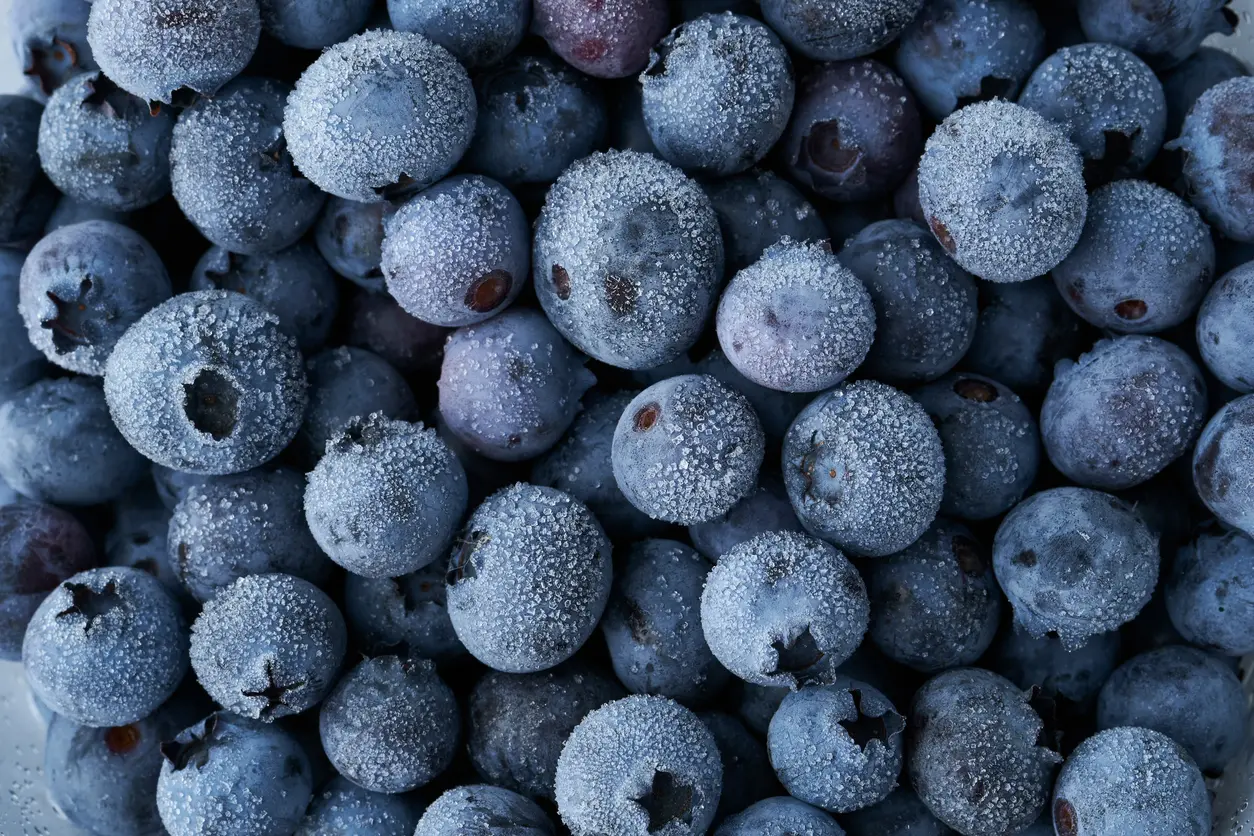 Blueberry Packaging