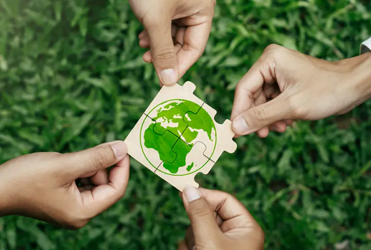 Eco-Friendly Packaging Solutions ALT Eco-Friendly Packaging Solutions