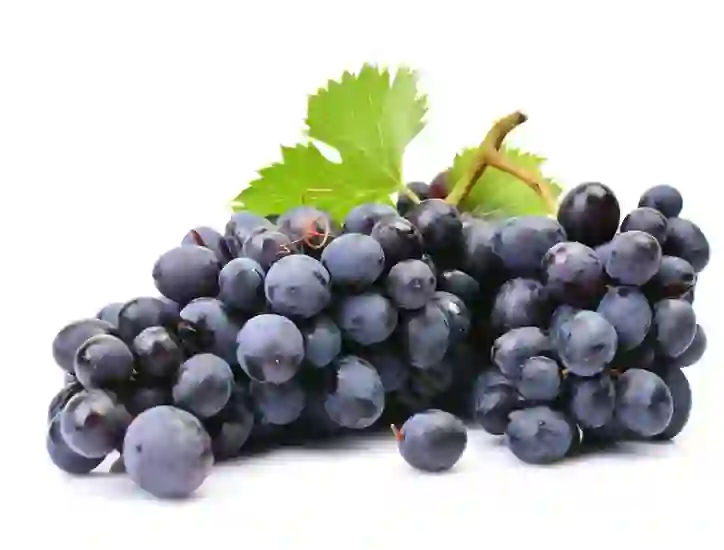 Grape Packaging Grape Packaging