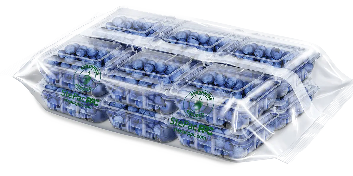 Xflow Blueberries packaging Xflow Blueberries packaging