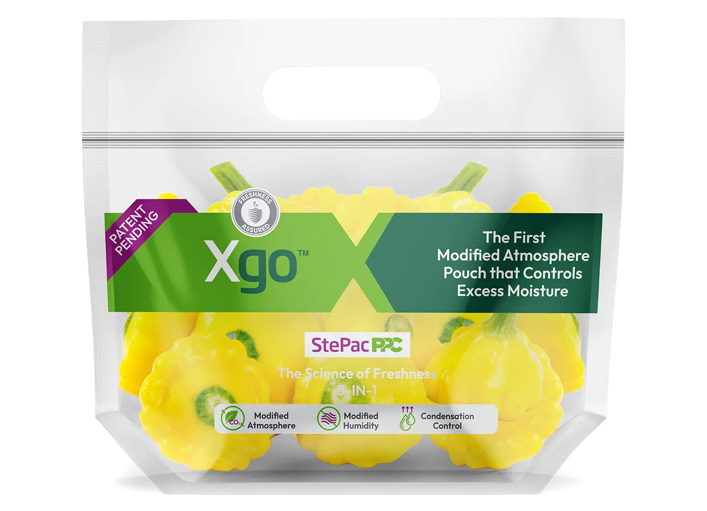 Xgo PAZ Stand Up Patty Pan Squash