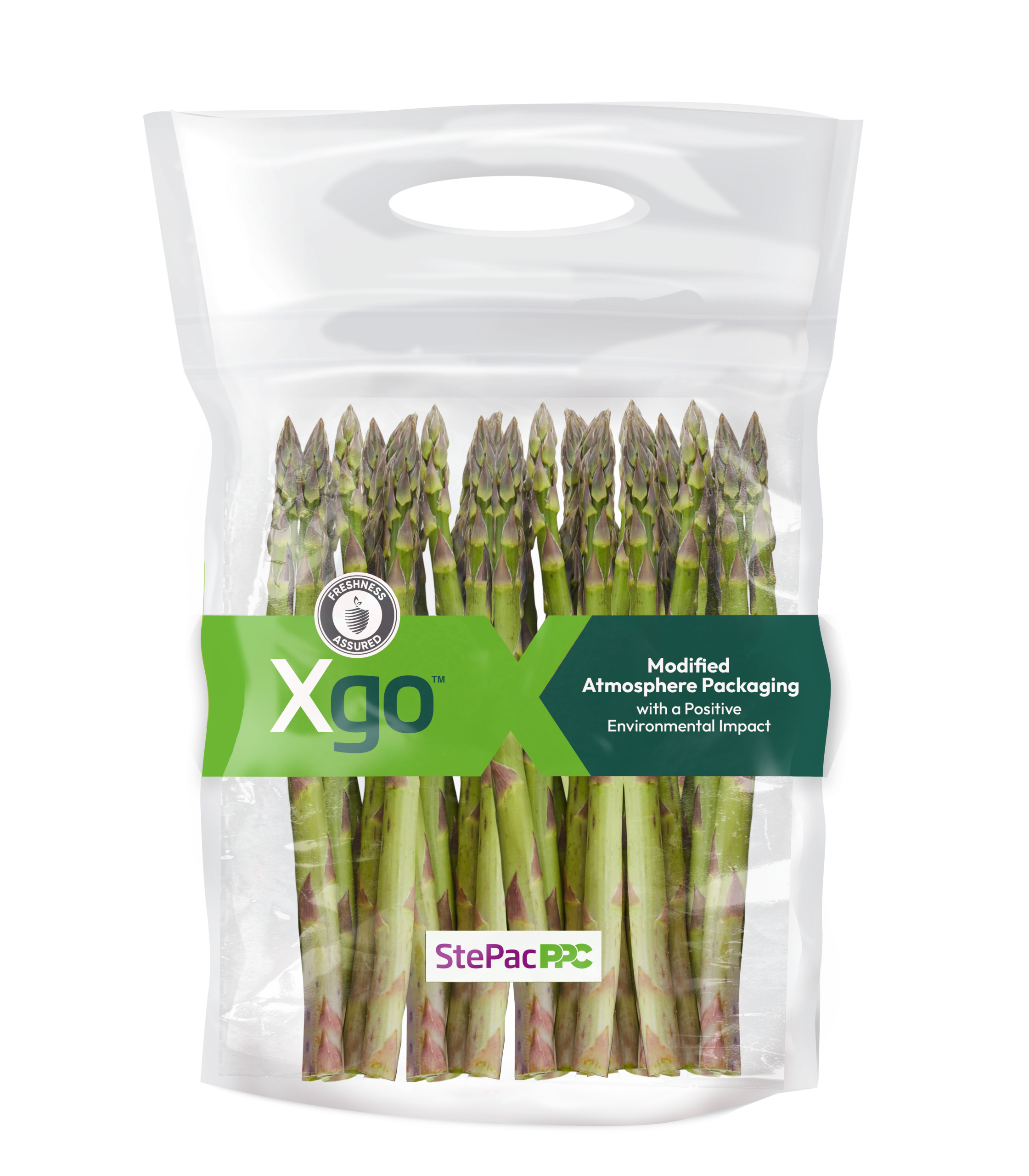 Xgo Stand Up Pouch Green Aspragus