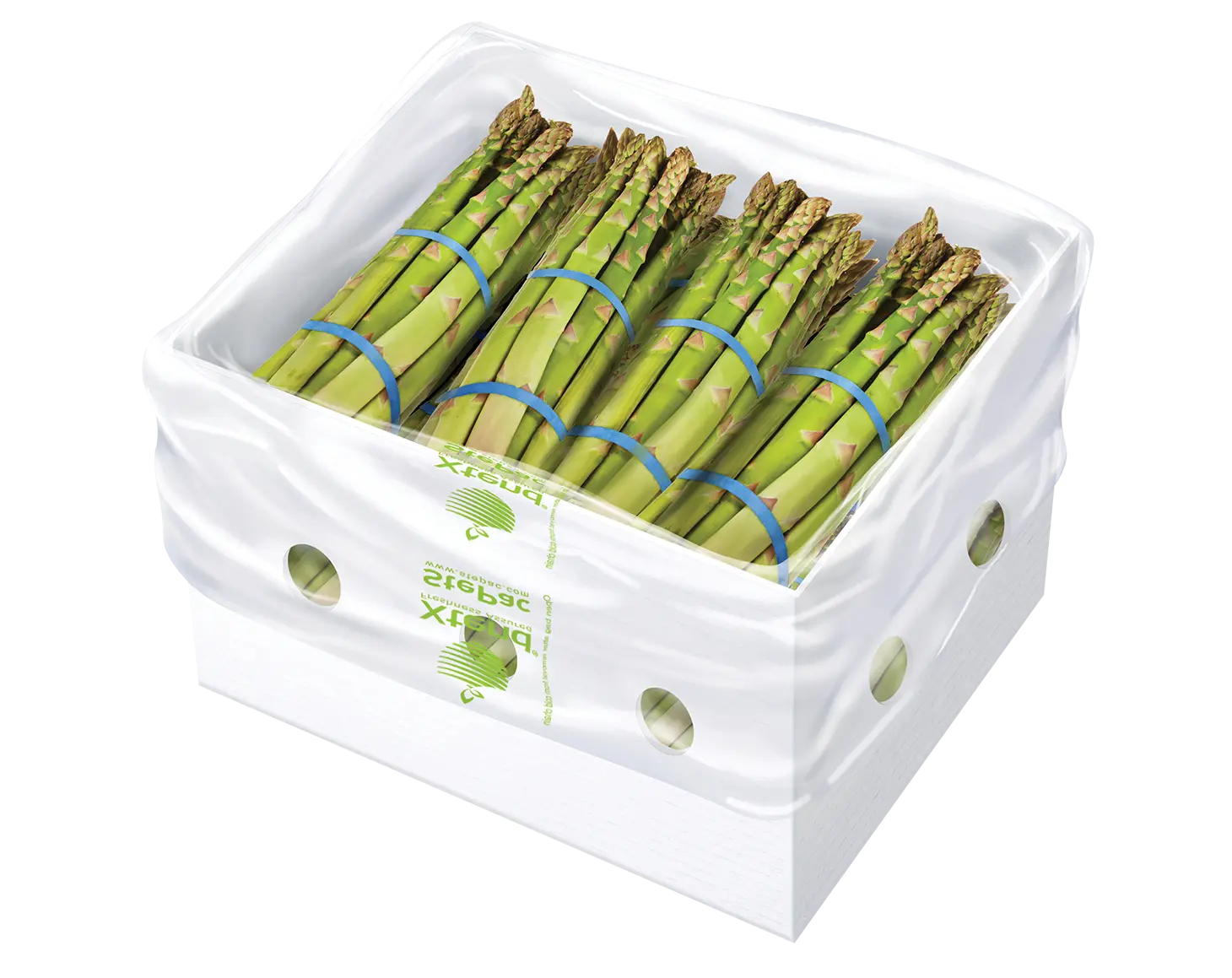 Xtend Asparagus 120919