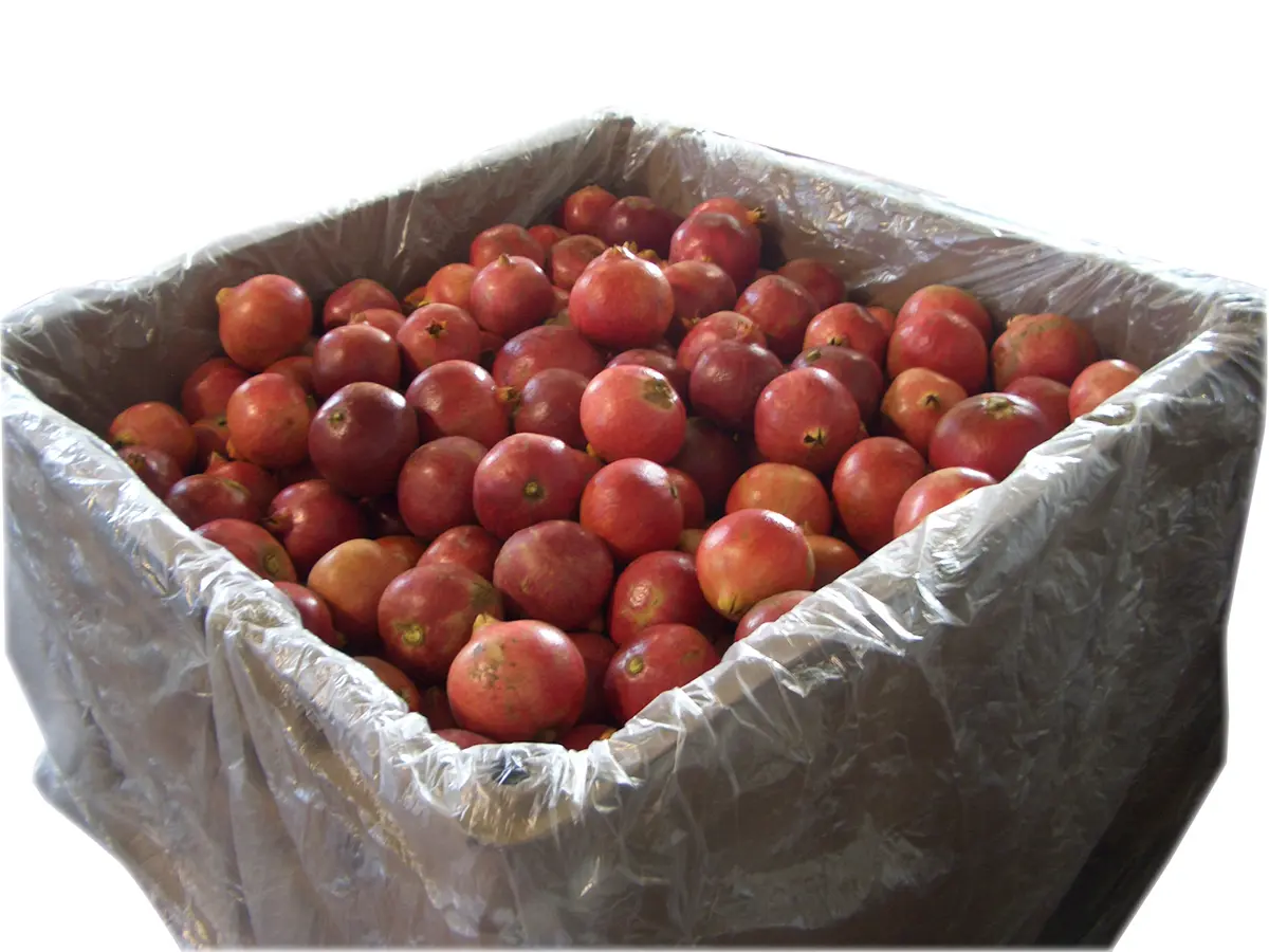 Xtend Bin Liner pomegranate packaging opened Xtend Bin Liner pomegranate packaging opened