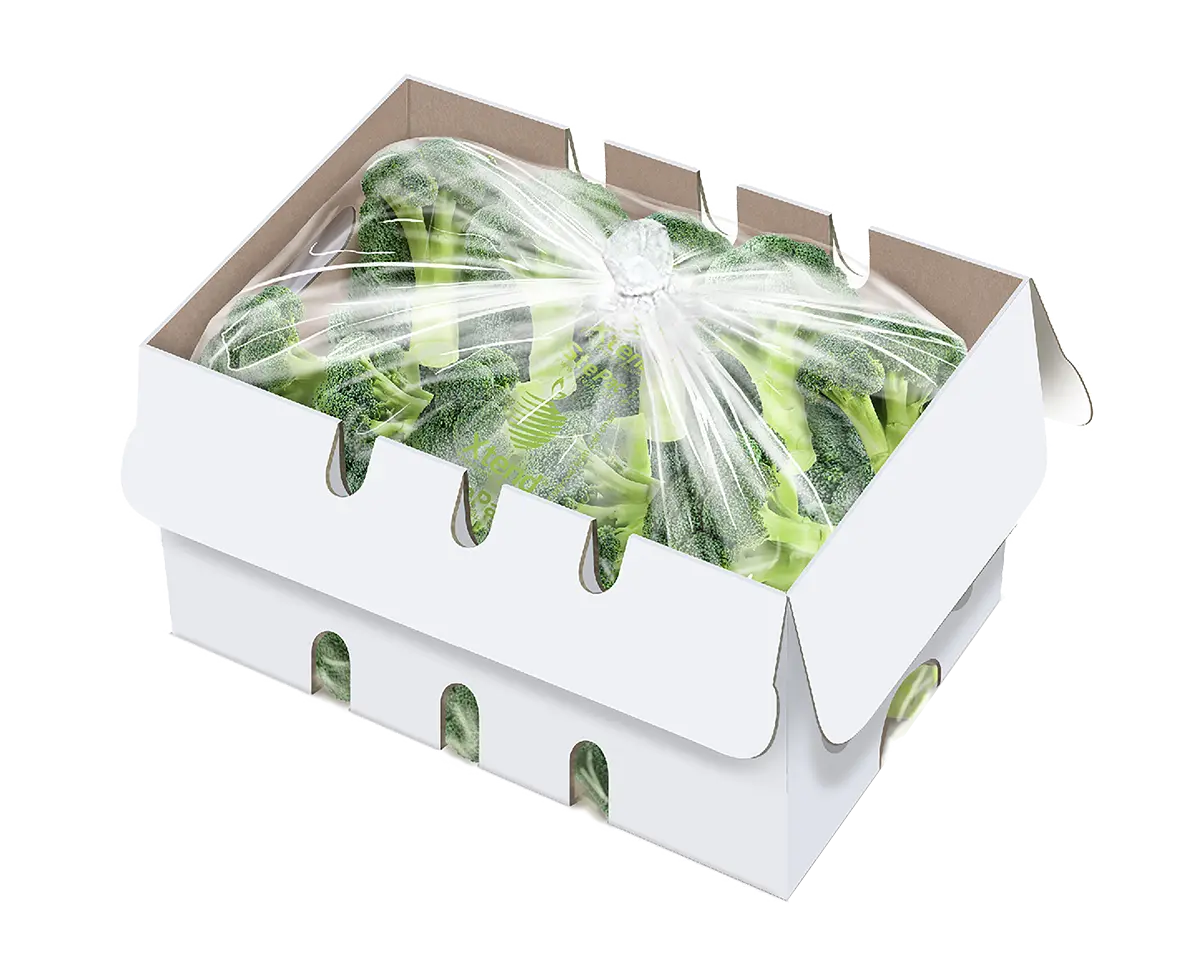 Xtend Broccoli closed 120919 Xtend Broccoli closed 120919