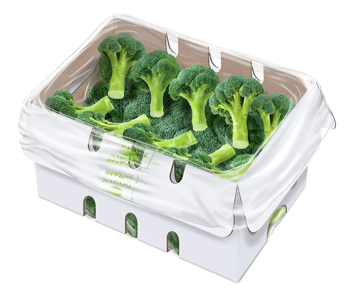 Xtend Broccoli opened 120919 Xtend Broccoli opened 120919