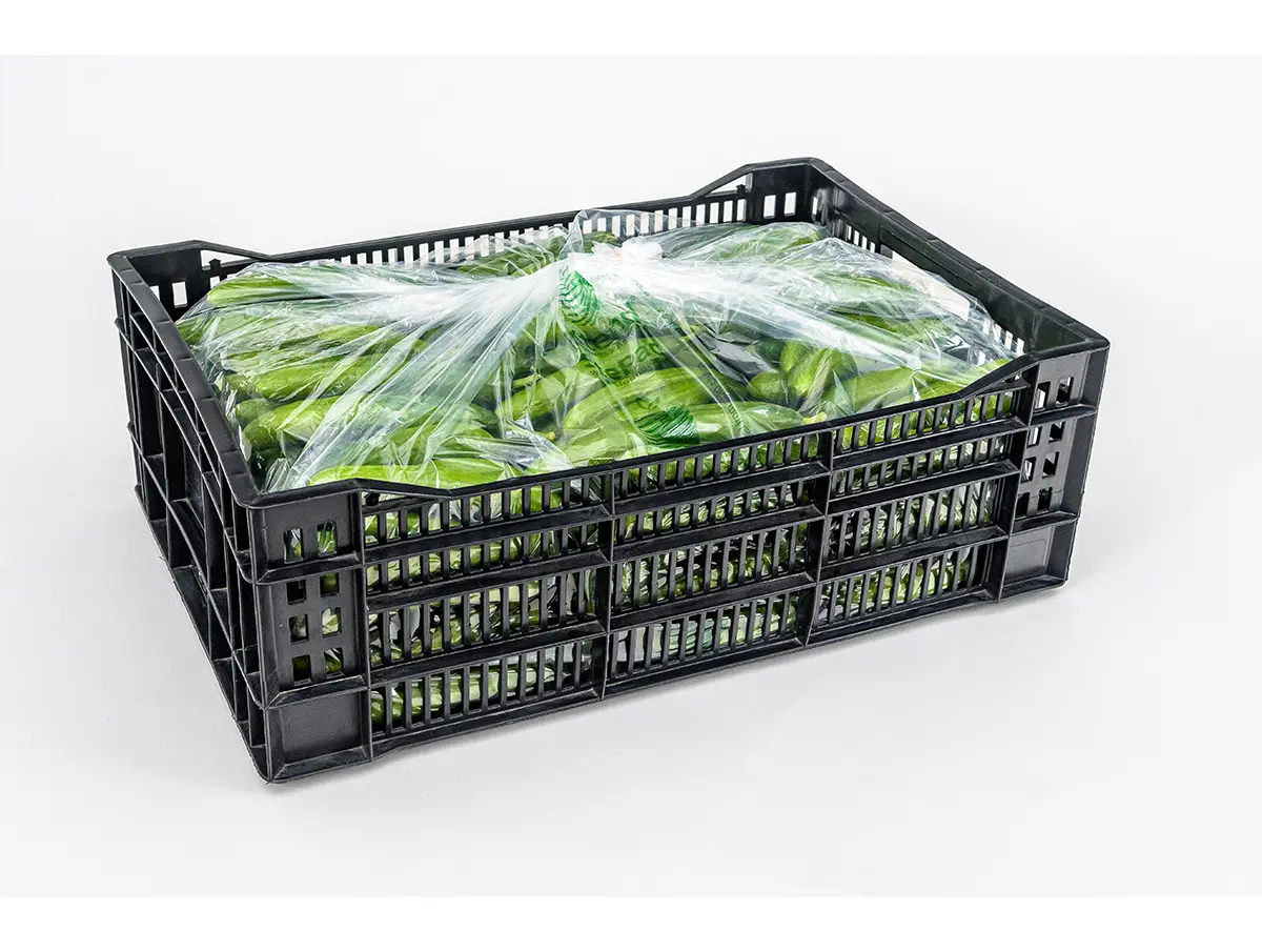 Xtend Cucumbers closed 3 Xtend Cucumbers closed 3