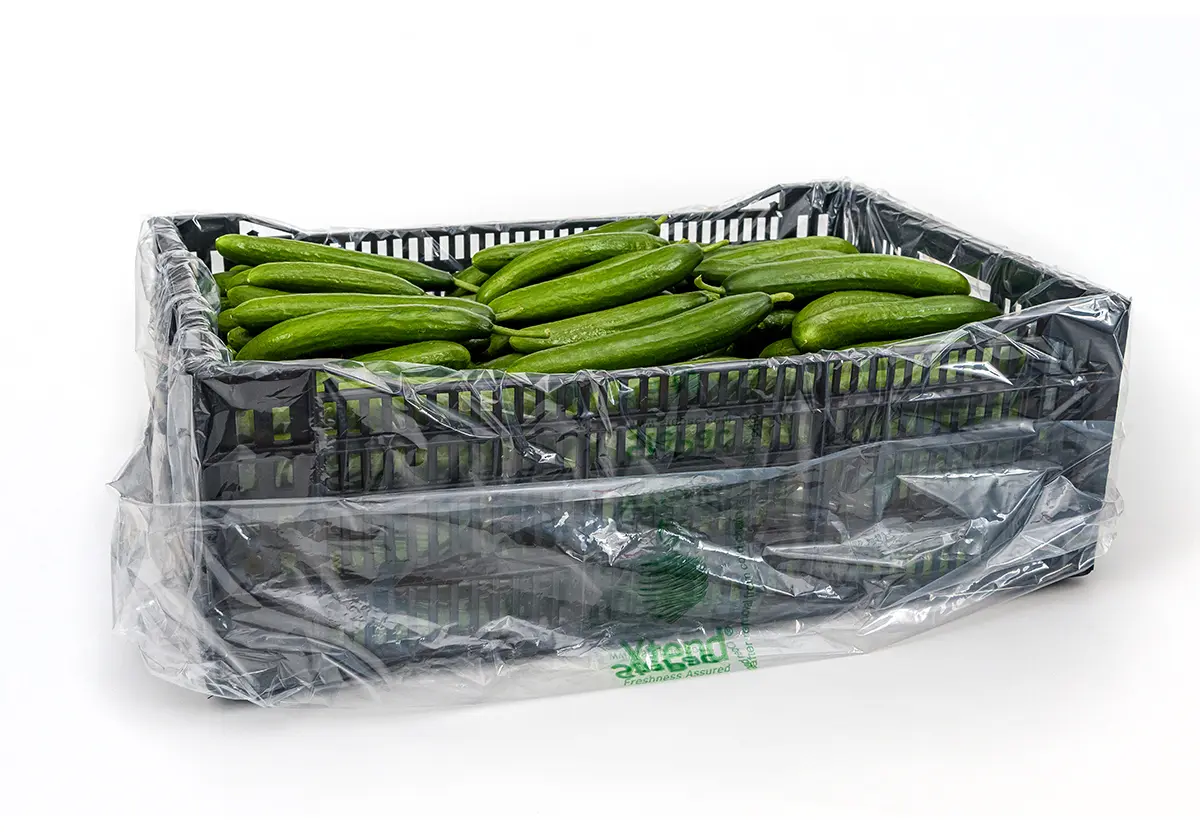 Xtend Cucumbers opened 1