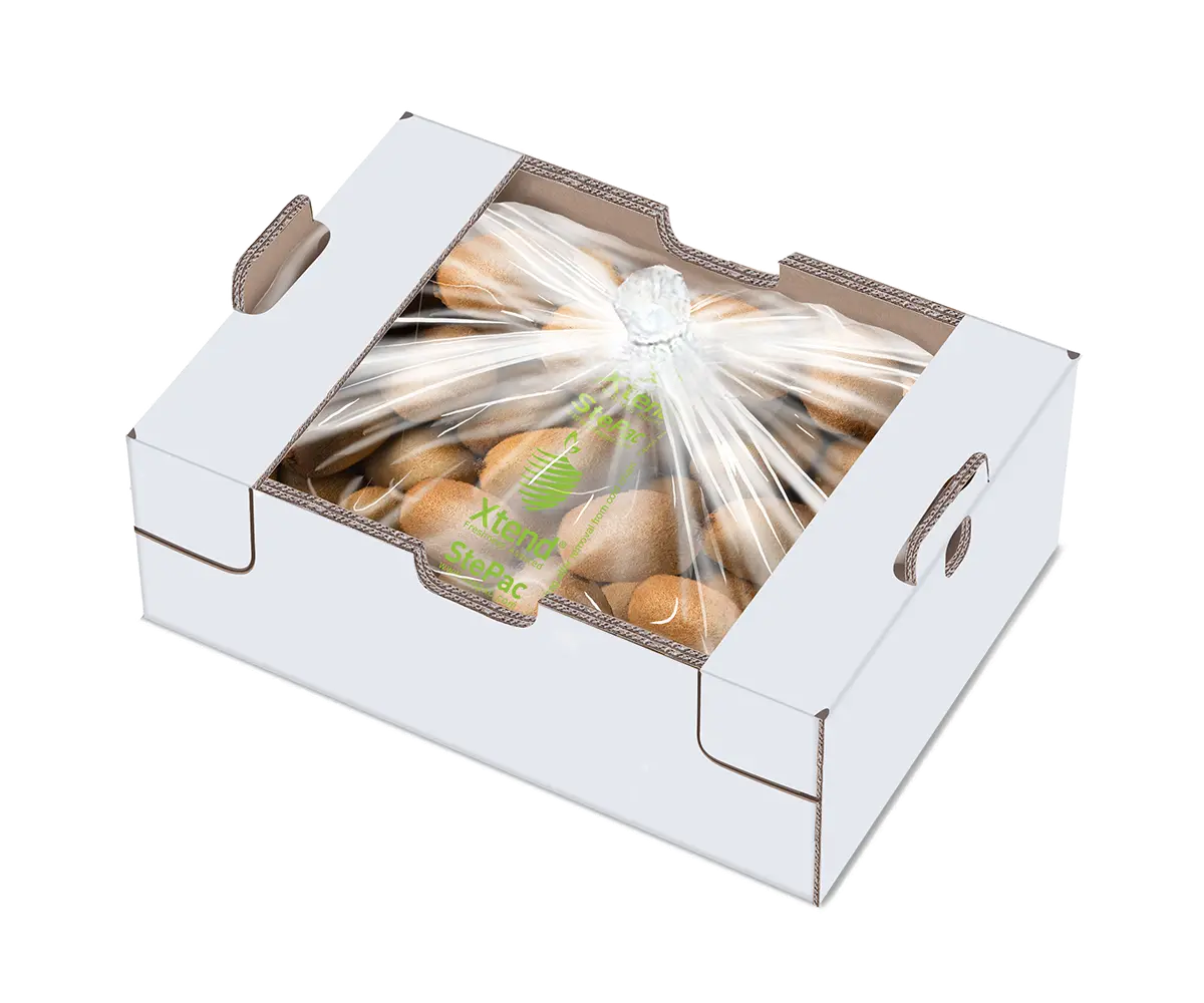 Xtend Kiwi closed 120919 Xtend Kiwi closed 120919