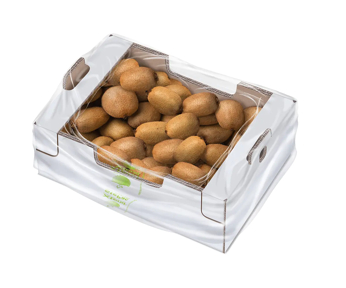 Xtend Kiwi opened 120919 Xtend Kiwi opened 120919