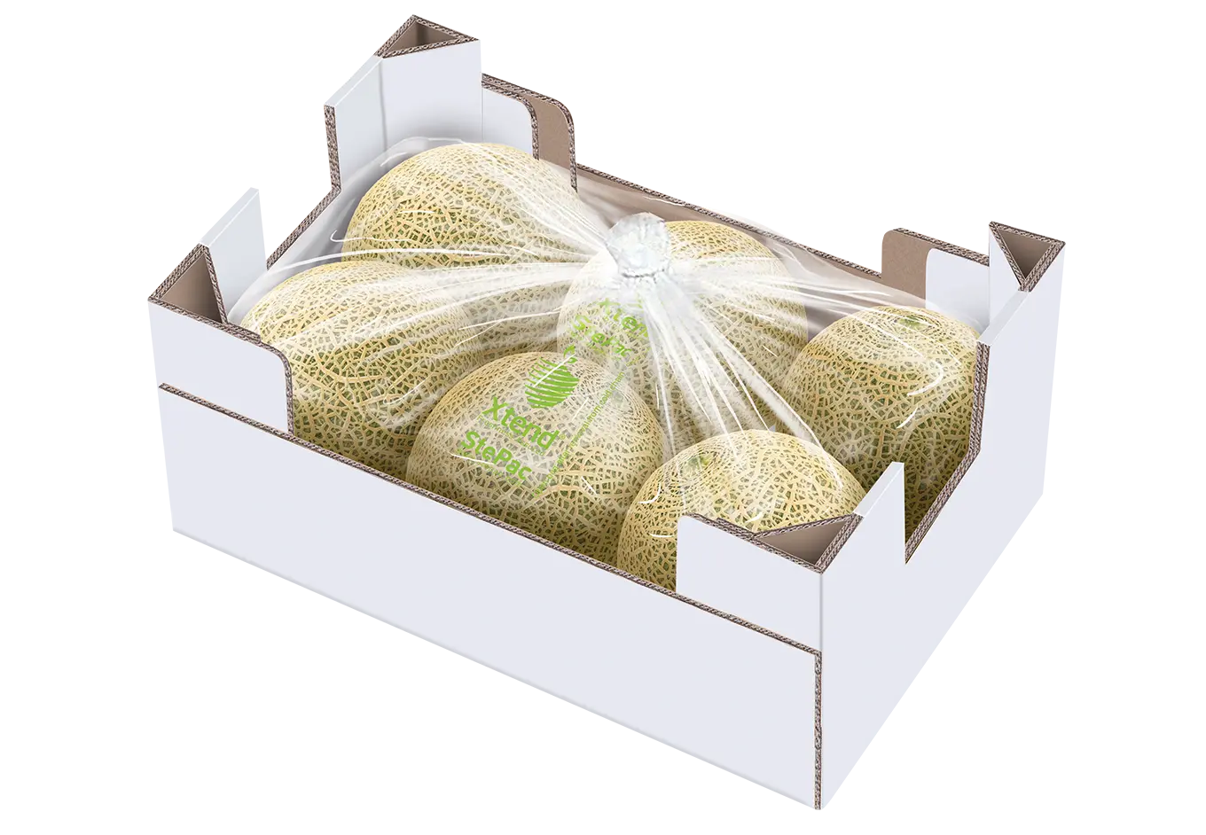 Xtend Melon closed 120919