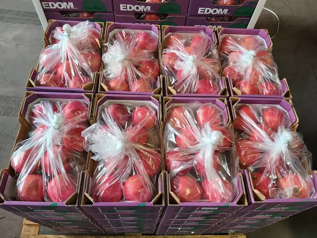 Xtend Pomegranates Edom closed Xtend Pomegranates Edom closed