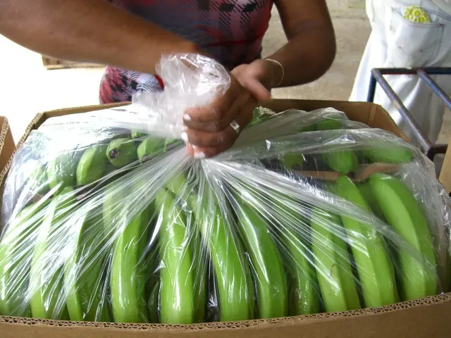 Xtned Banana closed 3 packaging bananas