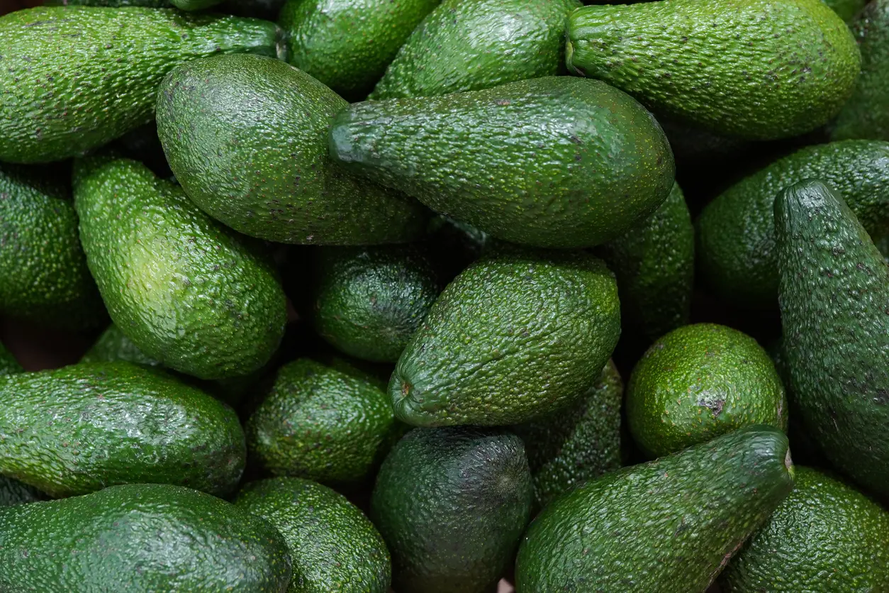avocado packaging
