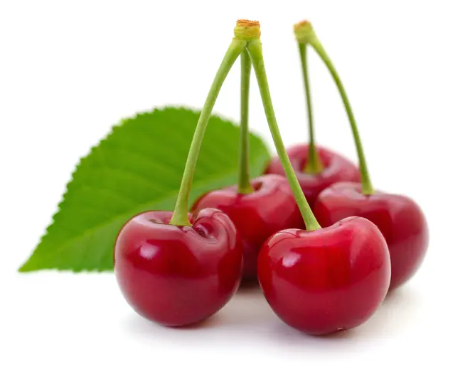 cherry packaging cherry packaging