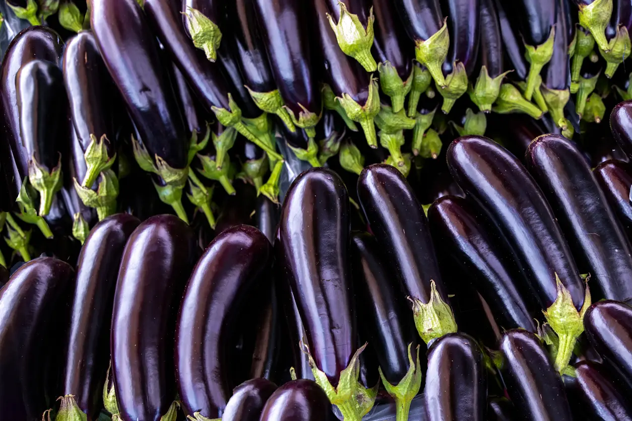 eggplant packaging