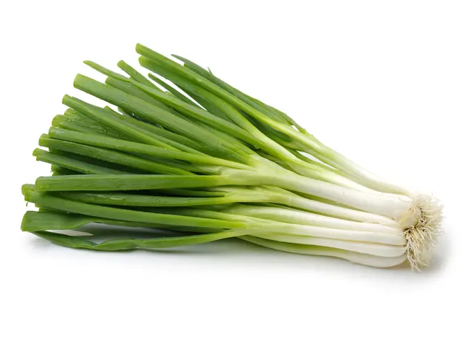 green onion bags green onion bags