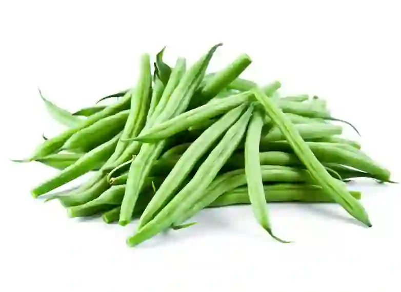 packaging for beans packaging for beans