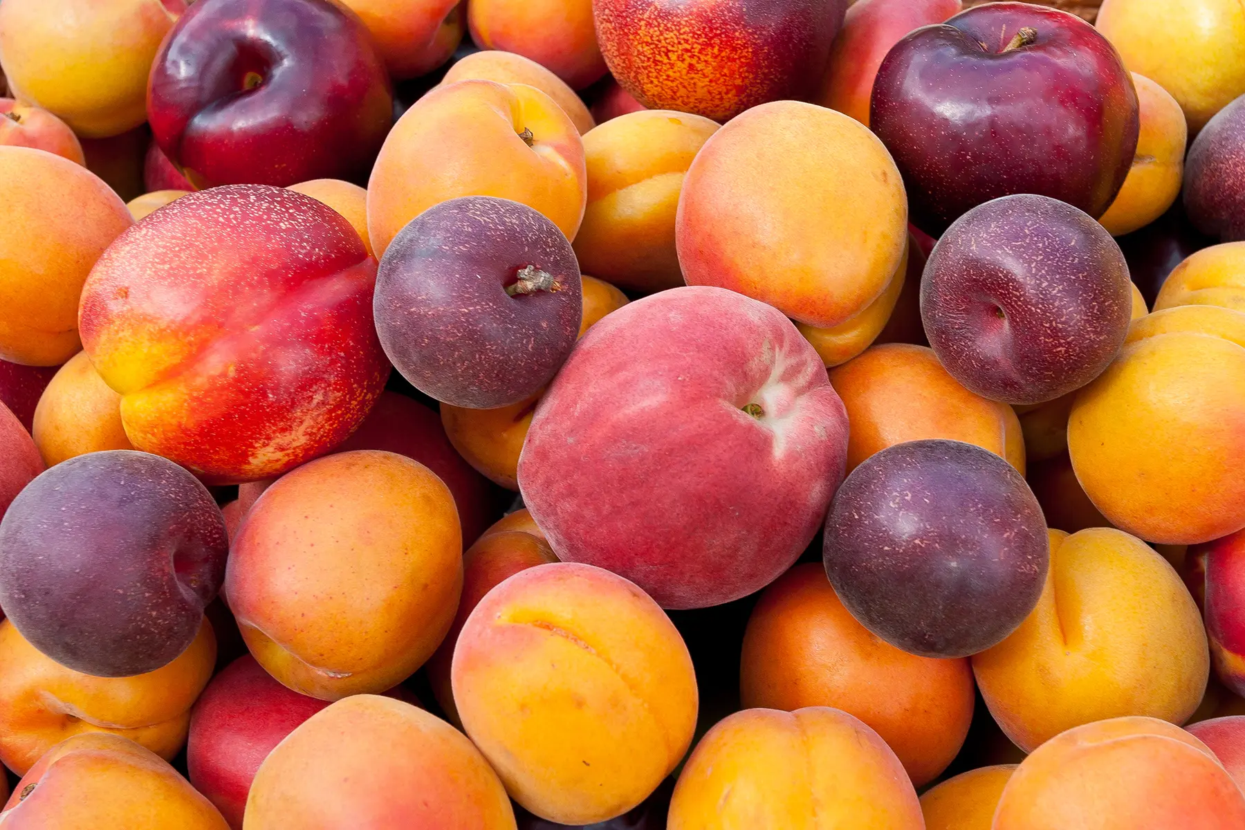stone fruit packaging