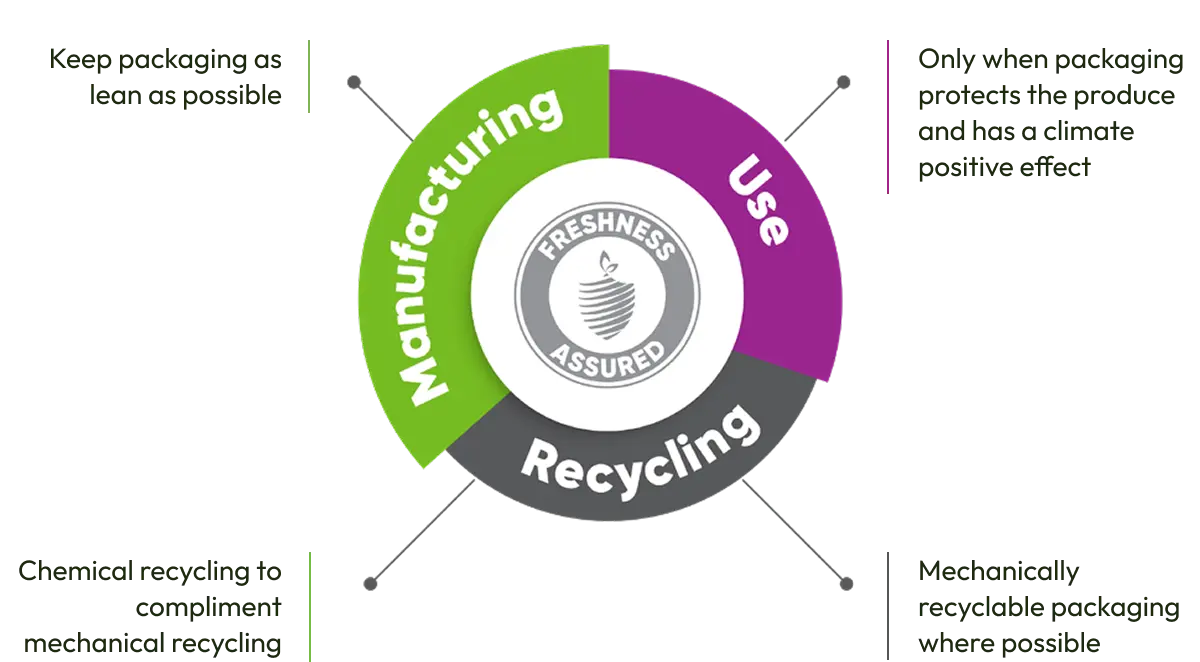 sustainability graphic sustainability graphic