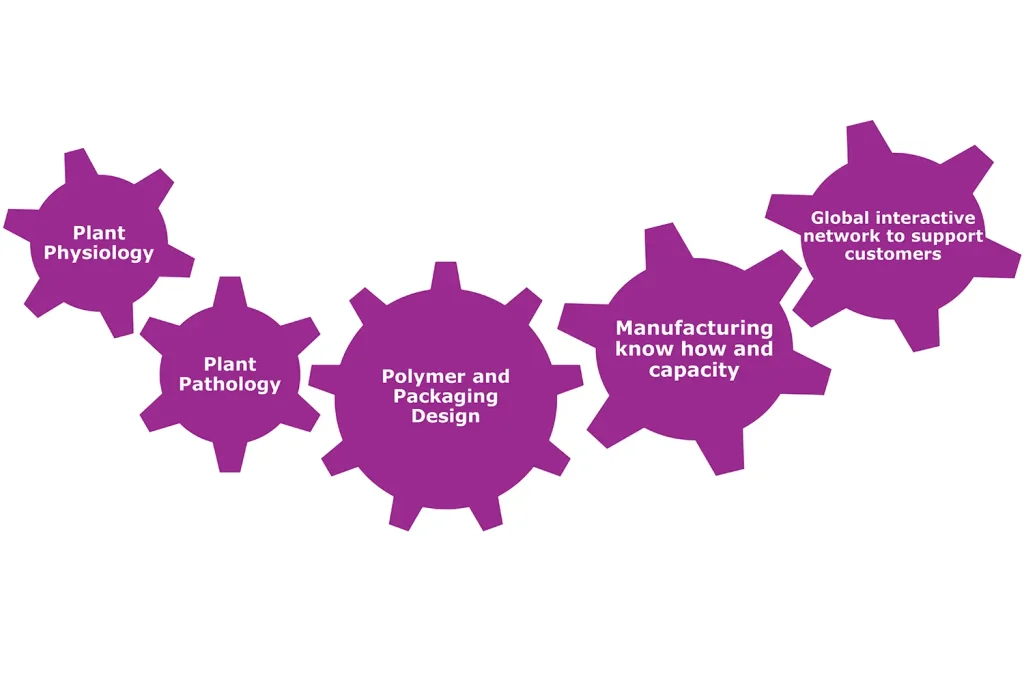 post-harvest handling