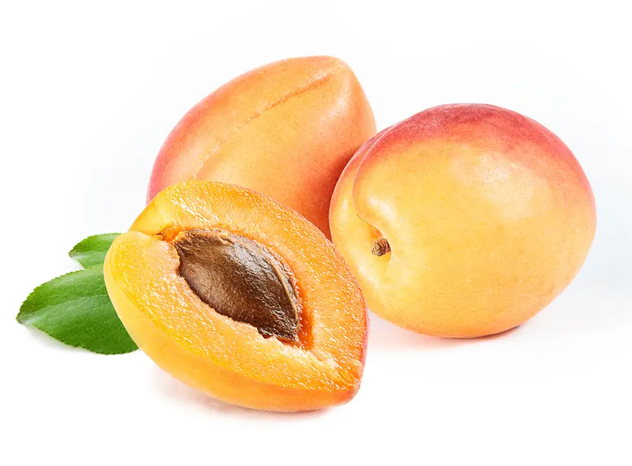 apricot packaging