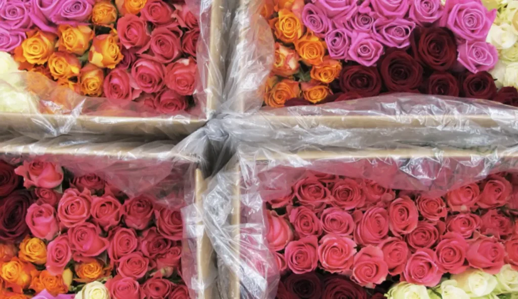 xbloom fresh flower packaging