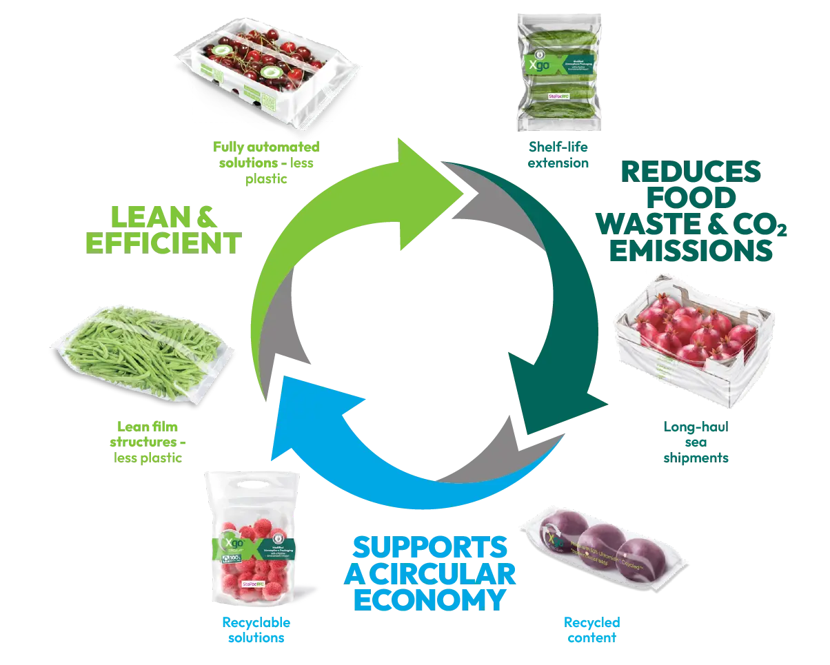 StePacPPC Packaging for a Sustainable Future graphic (1) StePacPPC Packaging for a Sustainable Future graphic (1)